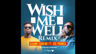 Kuami Eugene ft Ice Prince - Wish Me Well Remix
