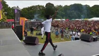 Kuami Eugene - Live at Party In The Park 2019