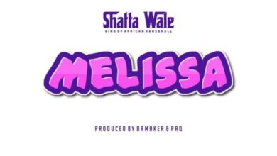 Instrumental Shatta Wale – Melissa
