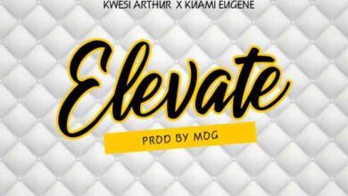 Kwesi Arthur Ft Kuami Eugene – Elevate (Remix)
