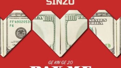 Dammy Krane X Sinzu – Pay Me My Money (Remix 2.0)