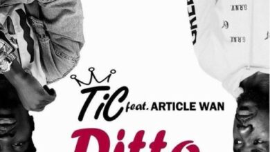 Tic Ft Article Wan – Ditto