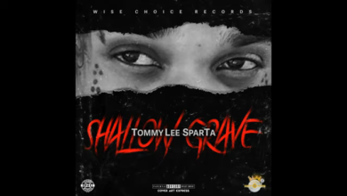 Tommy Lee Sparta - Shallow Grave