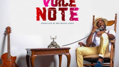 Kwabena Kwabena – Voice Note (Prod By Mix Master Garzy)