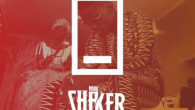 Shaker – Low Battery