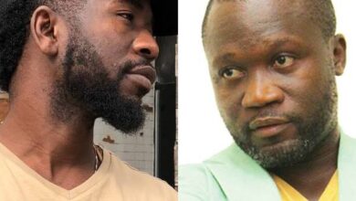Bisa Kdei is ‘Stupid and Senseless’ – says wise Ola Michael