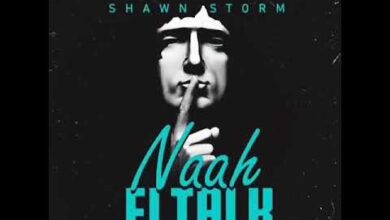 https://www.kotilyrics.com/shawn-storm-naah-fi-talk/