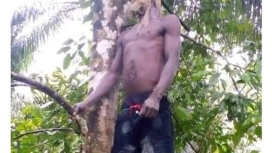 Alleged Infidelity - Man Commits Suicide After Killing His Wife (Graphic Photos)