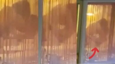 Lovely Video Of Couple Seen Through Window Doing The Do