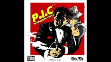 Shatta Wale – P.I.C. (Prod By Beatz Vampire)