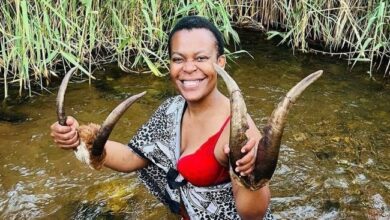 Zodwa Wabantu Did The Unexpected With Her Client After Going For Enlargement - Watch