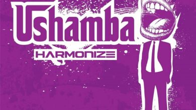 Harmonize – Ushamba (Prod. By Yung Keyz)