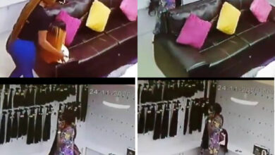 Saxy Lady Seen On Camera Stealing Hair Worth 200000 Naira In A Shop - Video