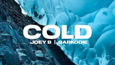 Joey B Ft Sarkodie – Cold (Prod By DJ Krept)