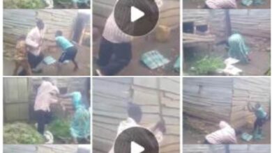 Mum N Kids Join Forces To Wrestle N Beat Dad - Watch Video