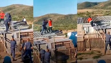 Boy Throw Punches With Police Officers On The Roof Of A House - Video