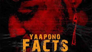 Yaa Pono - Facts (Shatta Wale Diss)