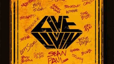 Sean Paul - Guns of Navarone (Remix) Ft Stonebwoy