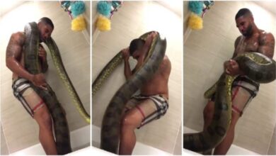 Lady Leaks Video Of Her Sponsor Bathing With Big Snake - Watch