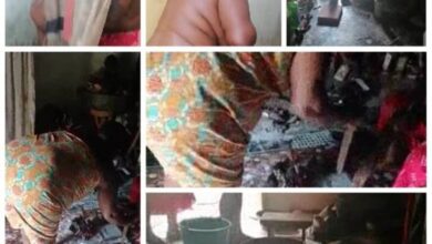 Priest Allegedly Leaks Videos Of Woman Spiritually Stabbing Akufo-Addo And kingmakers - Watch Now
