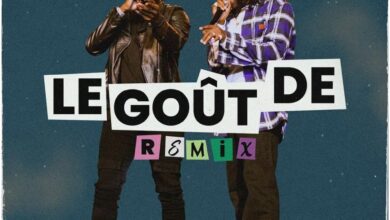 Remy Adan - Le Gout De (Remix) Ft Stonebwoy