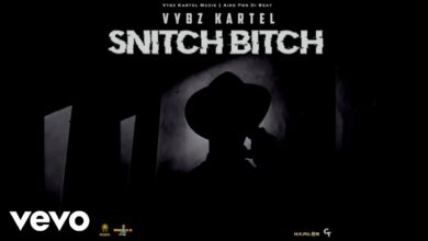 Vybz Kartel - Snitch Bitch Lyrics
