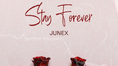 Junex – Stay Forever