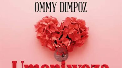 Ommy Dimpoz - Umeniweza