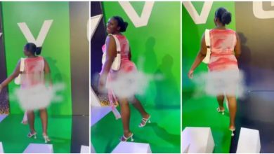 Bootylicious Lady Display Her Raw Nyash During Red Carpet At VGMA23 - Video
