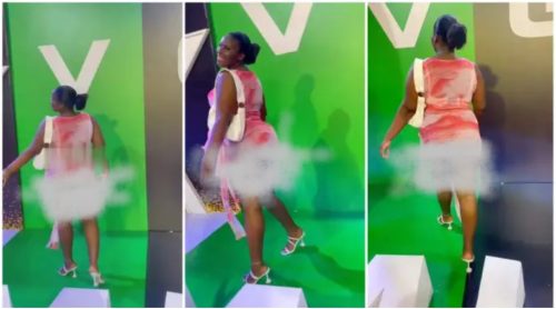 Bootylicious Lady Display Her Raw Nyash During Red Carpet At VGMA23 - Video
