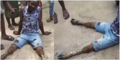 Guy Turns Into A Cow For Allegedly Sleeping With A Cute Married Lady - Video