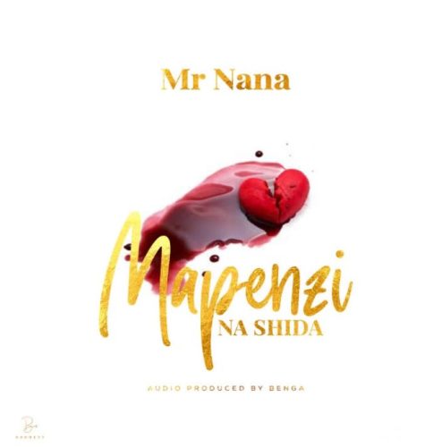 Mr Nana – Mapenzi Na Shida