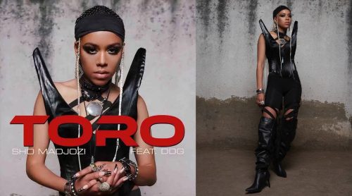 Sho Madjozi - Toro Ft DDG