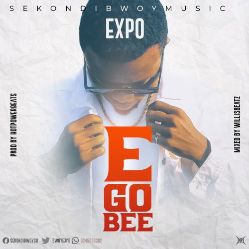 Expo - E Go Bee