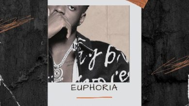 Nektunez – Euphoria (Instrumental)