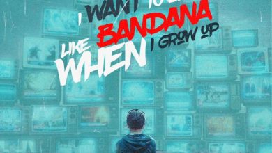 Shatta Wale – I Want To Be Like Bandana