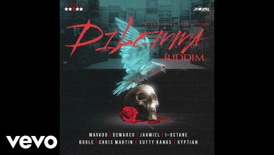 Demarco - Never Born Fi Poor