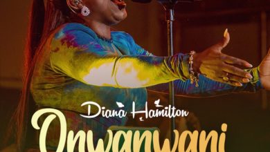Diana Hamilton – Onwanwani (Wonder Working God)