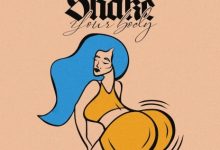 Jay Bahd – Shake Your Body Ft Skyface SDW