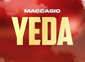 Maccasio – YEDA