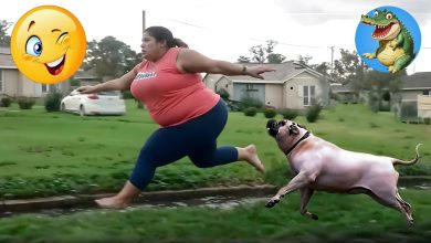 Viral Epic Fails Funny Video - Laugh Out Loud