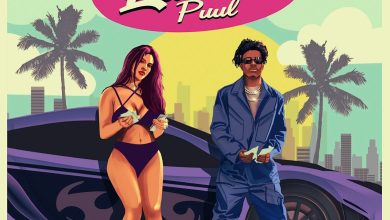 Lasmid – Puul