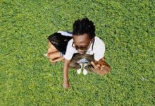 Sean Lifer – Yes or No