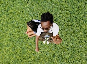 Sean Lifer – Yes or No