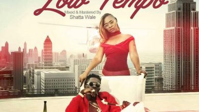 Shatta Wale – Low Tempo ft Shatta Michy (Prod By MoneyBeatz)