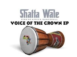 Shatta Wale – Stay Focused