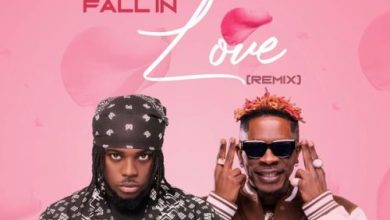 Takum - Don't Fall in Love (Remix) Ft Shatta Wale