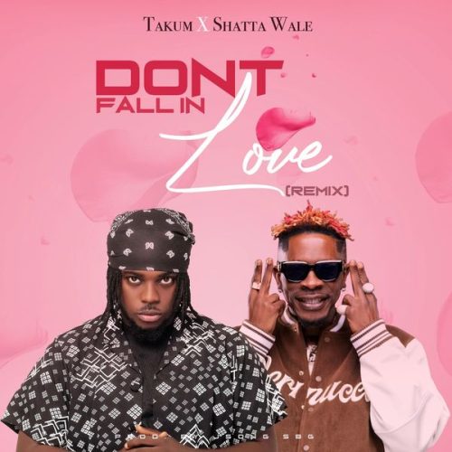 Takum - Don't Fall in Love (Remix) Ft Shatta Wale