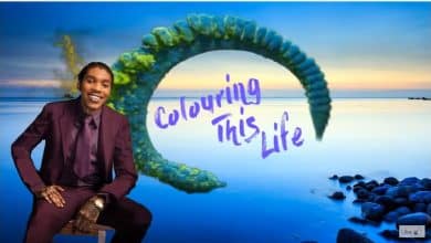 Vybz Kartel – Colouring This Life