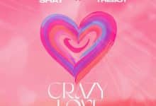 Wendy Shay – Crazy Love Ft Olivetheboy